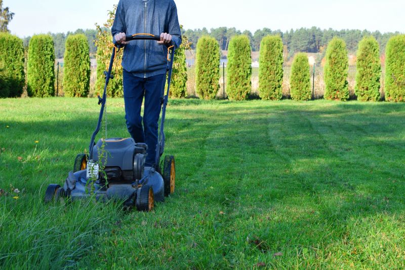 Increase Your Lawn Mowing Business with an AI Driven, Targeted Website