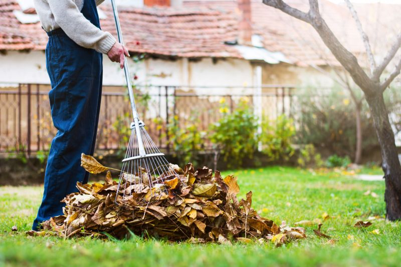 Fall Lawn Cleanup Process