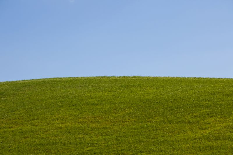 Hillside Weed Eating