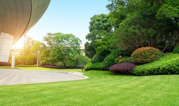 Commercial Lawn Care in Bentonville