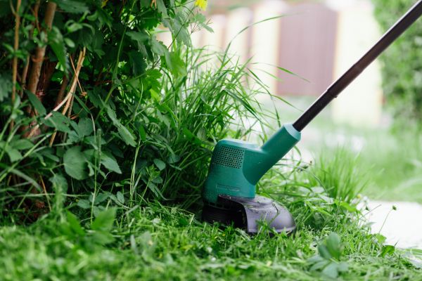 Weed Whacking in Bentonville