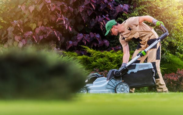 Yard Care Service in Bentonville