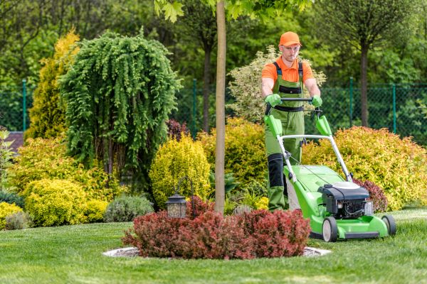 Yard Service in Bentonville