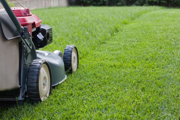 Residential Lawn Care in Bentonville