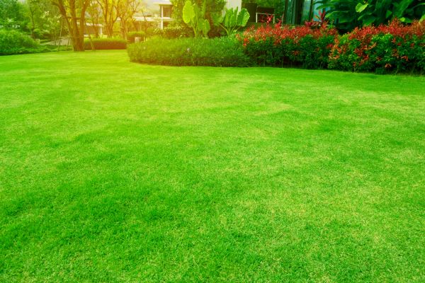 Grass Maintenance in Bentonville