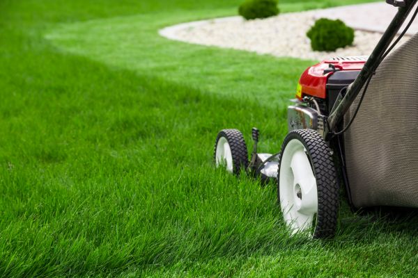 Lawn Service in Bentonville