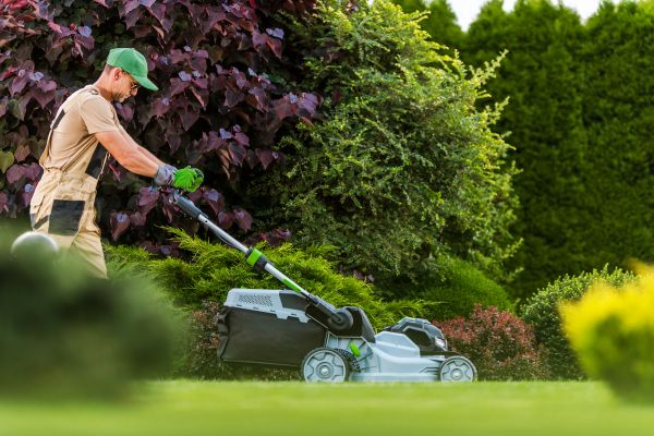 Lawn Management in Bentonville