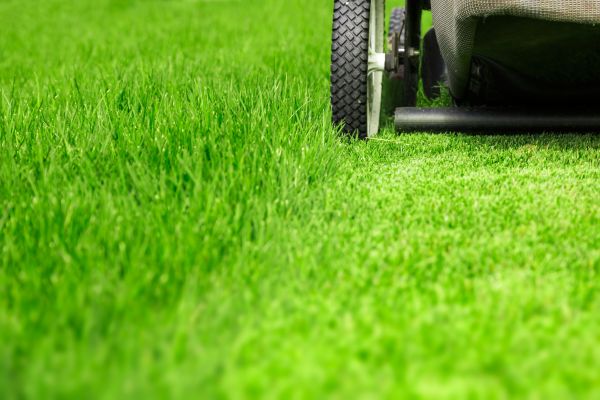 Weekly Lawn Care in Bentonville
