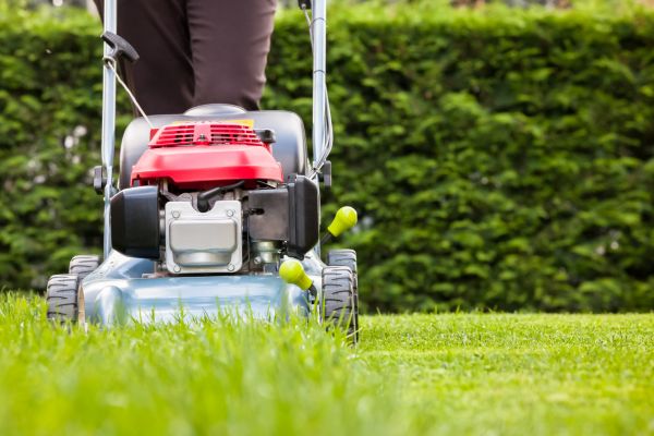 Grass Trimming Service in Bentonville