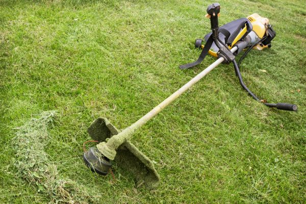Cost of Hillside Weed Whacking in Bentonville