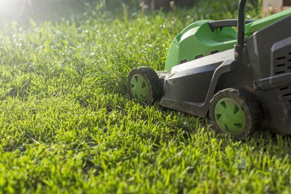 Yard Trimming in Bentonville