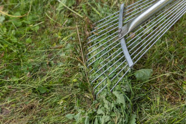 Cost of Thatch Raking in Bentonville