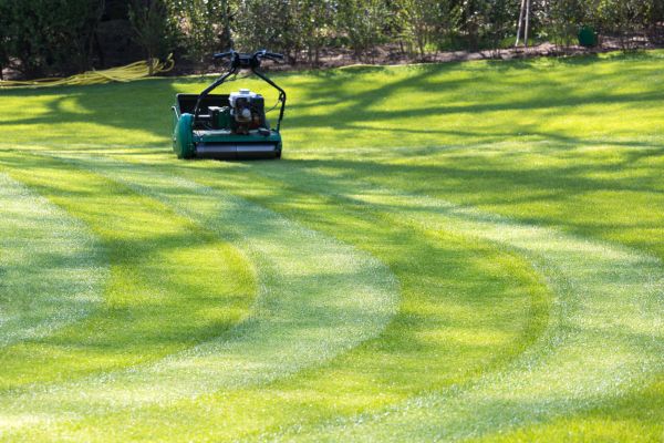 Business Lawn Mowing in Bentonville