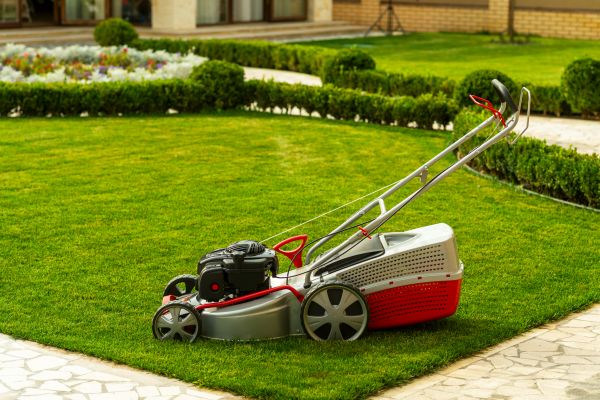 Business Grass Cutting in Bentonville