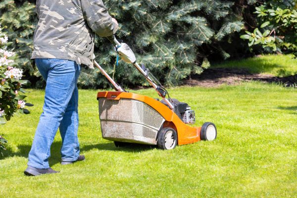 Cost of Springtime Lawn Care in Bentonville