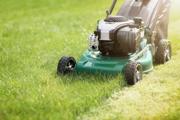 Cost of Spring Grass Trimming in Bentonville
