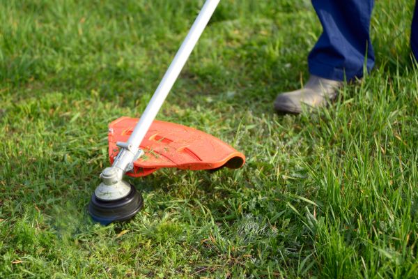 Cost of Lawn Weed Whacking in Bentonville